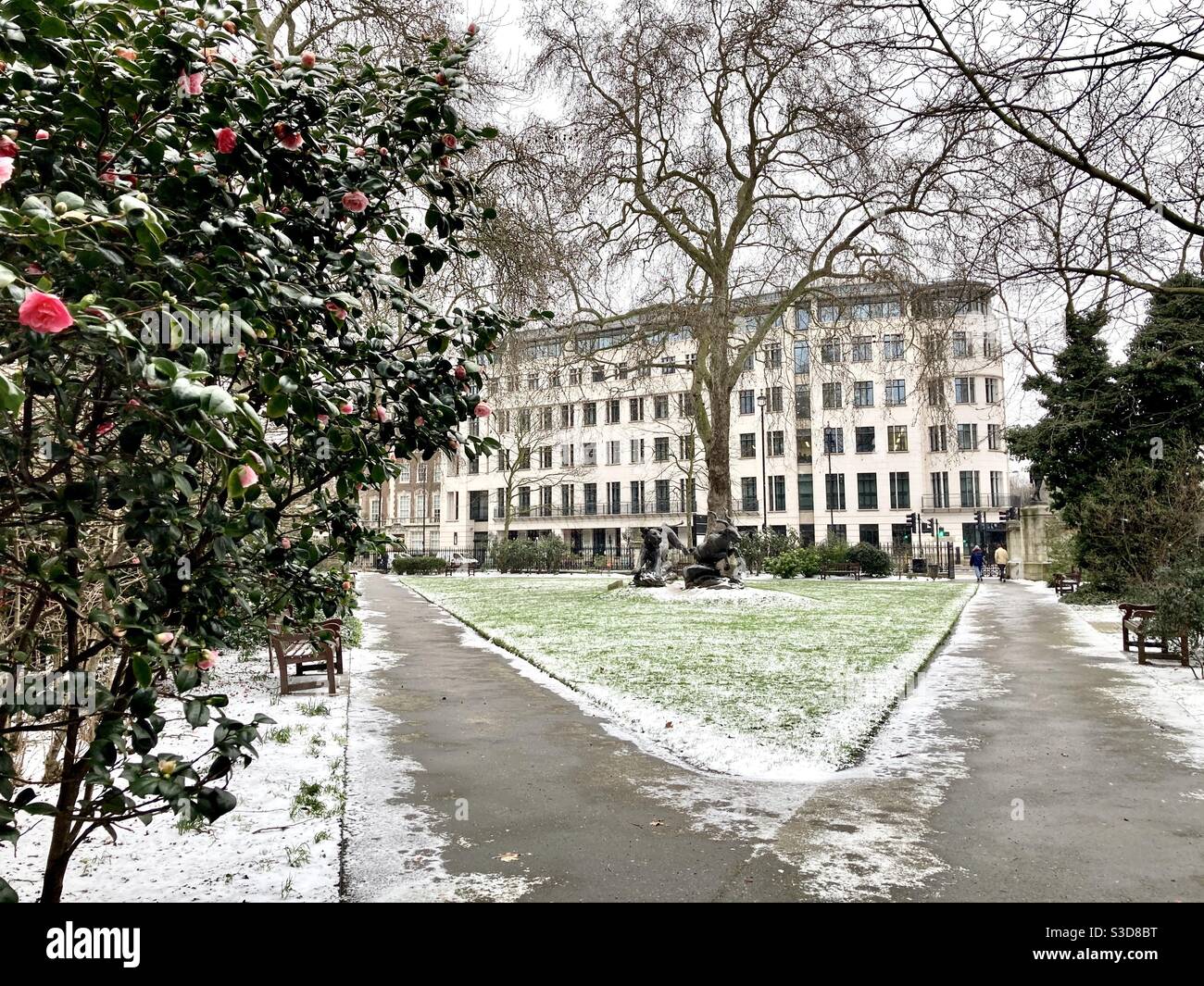 Snow Falling on Grosvenor Gardens in Victoria, London, England Stock Photo