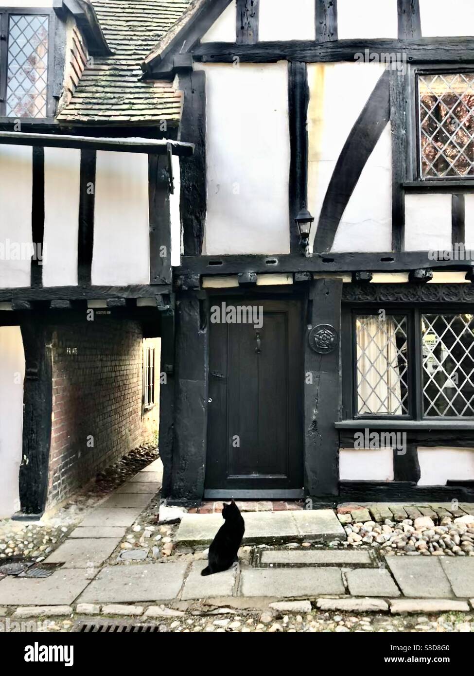 Black cat on the street in front of a tudor house in Rye, East Sussex, uk - Smartphone Captured Stock Image