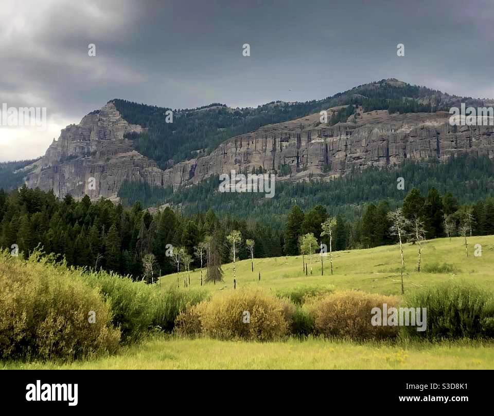 Lamar Valley, Yellowstone National Park, Wyoming, USA - Smartphone Captured Stock Image