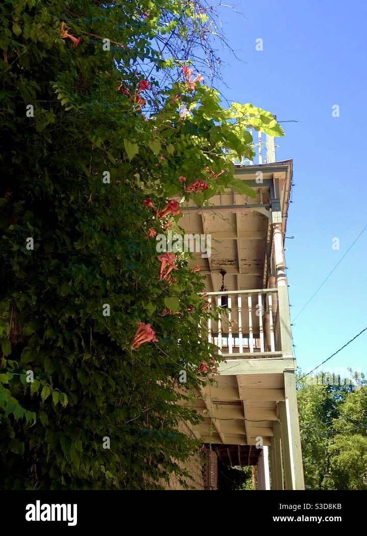 Plants and porch, Eureka Springs, Arkansas, USA - Smartphone Captured Stock Image