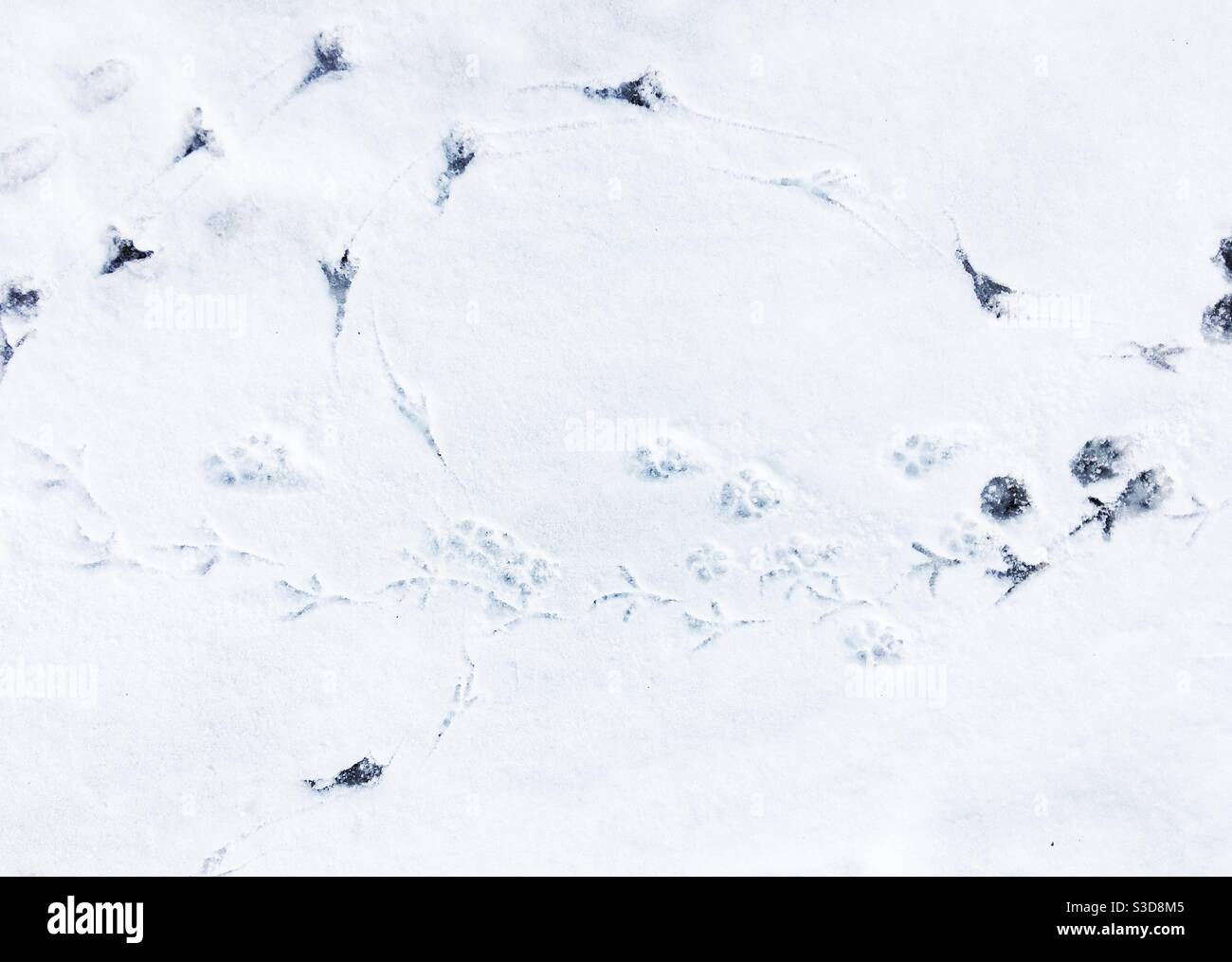 Patterns snow hi-res stock photography and images - Alamy