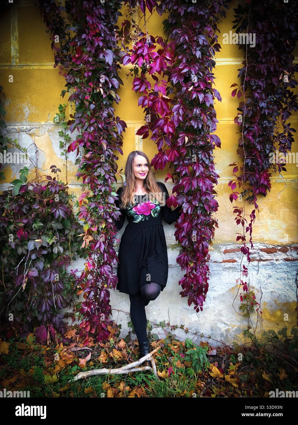 Young woman standing against a yellow wall being surrounded by green ivy leaves in autumn - Smartphone Captured Stock Image