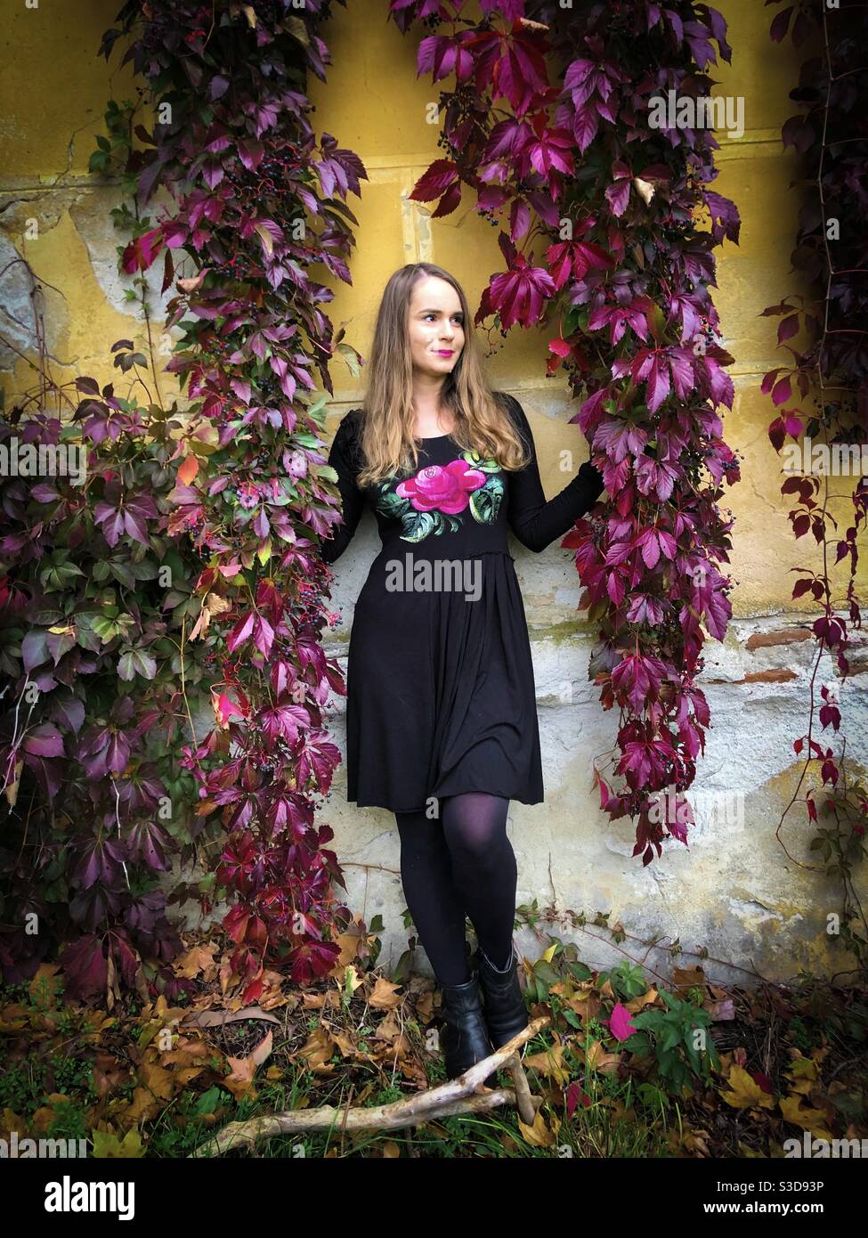 Young woman standing against a yellow wall being surrounded by green ivy leaves in autumn - Smartphone Captured Stock Image