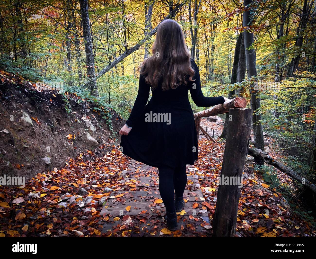 Rear view of woman in black dress in the middle of a forest in autumn - Smartphone Captured Stock Image