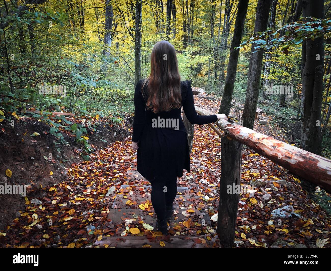 Rear view of woman in black dress in the middle of a forest in autumn - Smartphone Captured Stock Image
