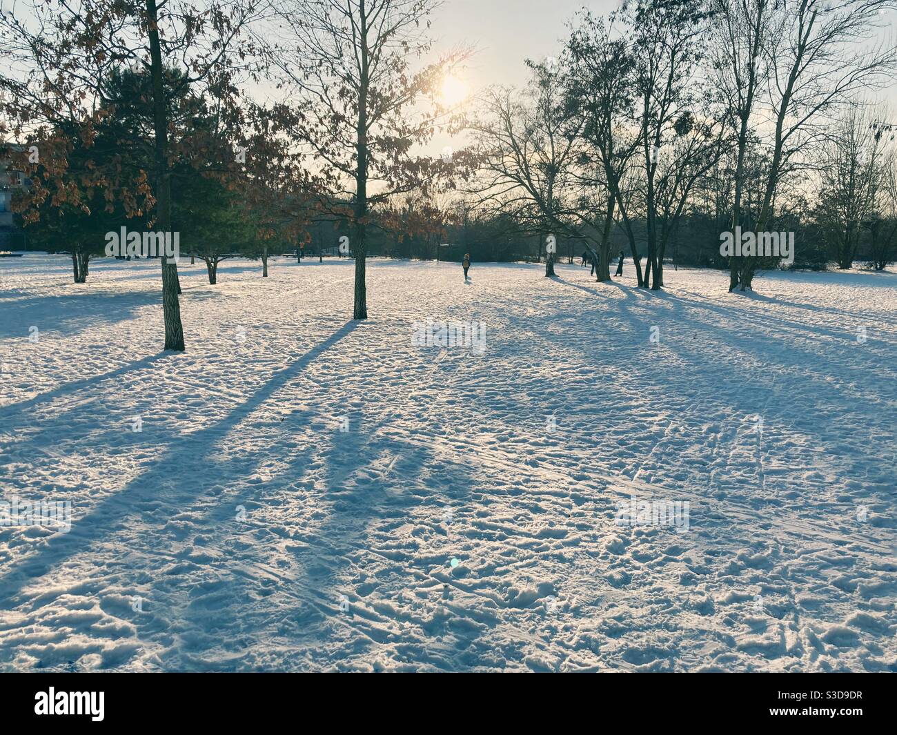 The Park am Gleisdreieck in the Berlin district of Kreuzberg in February 2021 in winter - Smartphone Captured Stock Image