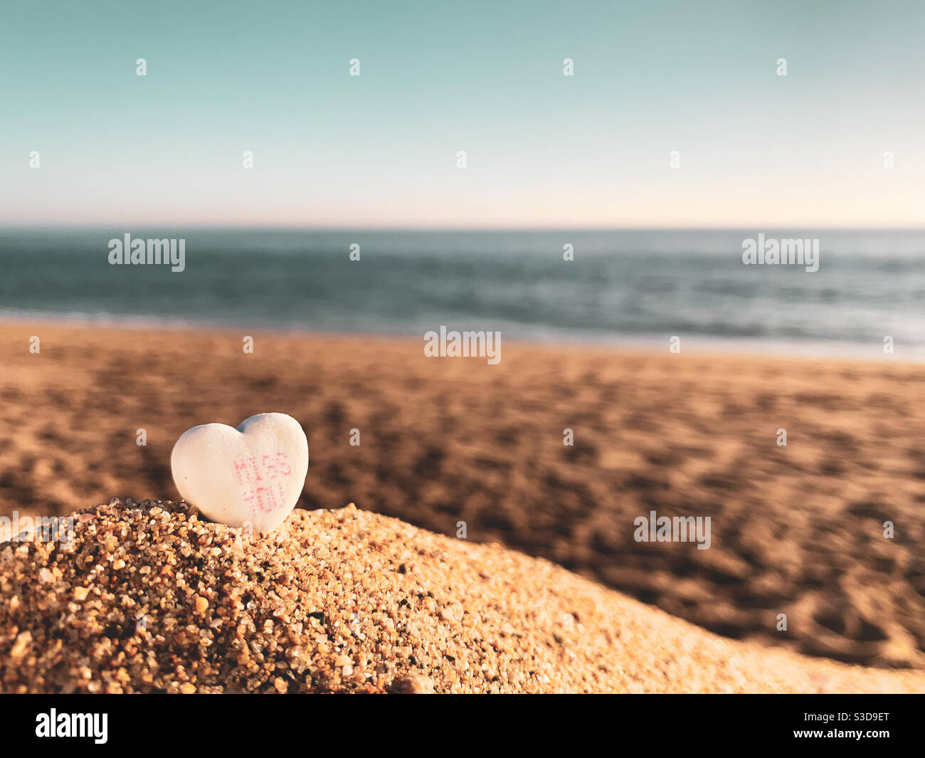 A heart shaped candy with the words “miss you” sitting in the sand on a beach in the golden hour of a beautiful sunny day, with ocean blurred in the background. Stock Photo