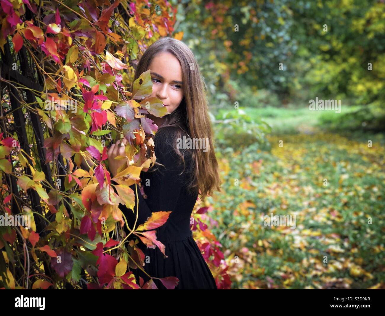 Portrait of happy young woman in black dress standing near a fence covered in colorful ivy leaves - Smartphone Captured Stock Image