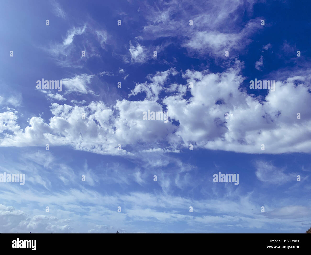 Majestic lines of light fluffy white cumulus clouds of different shapes and thickness with a bright blue sky behind - Smartphone Captured Stock Image