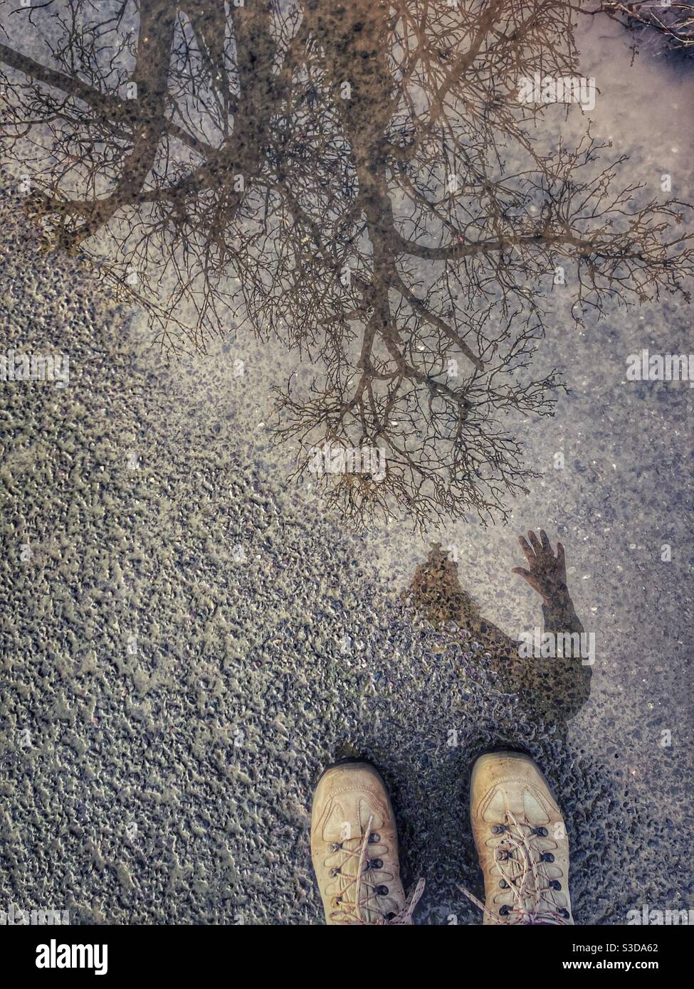 Hiking boots, puddle and reflections of winter tree and person’s arm. - Smartphone Captured Stock Image