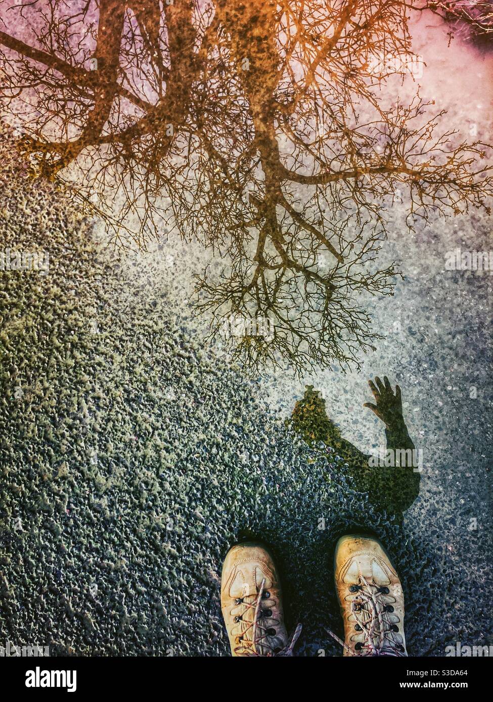 Hiking boots from above, next to puddle with reflections of winter tree and person’s arm and hand - Smartphone Captured Stock Image