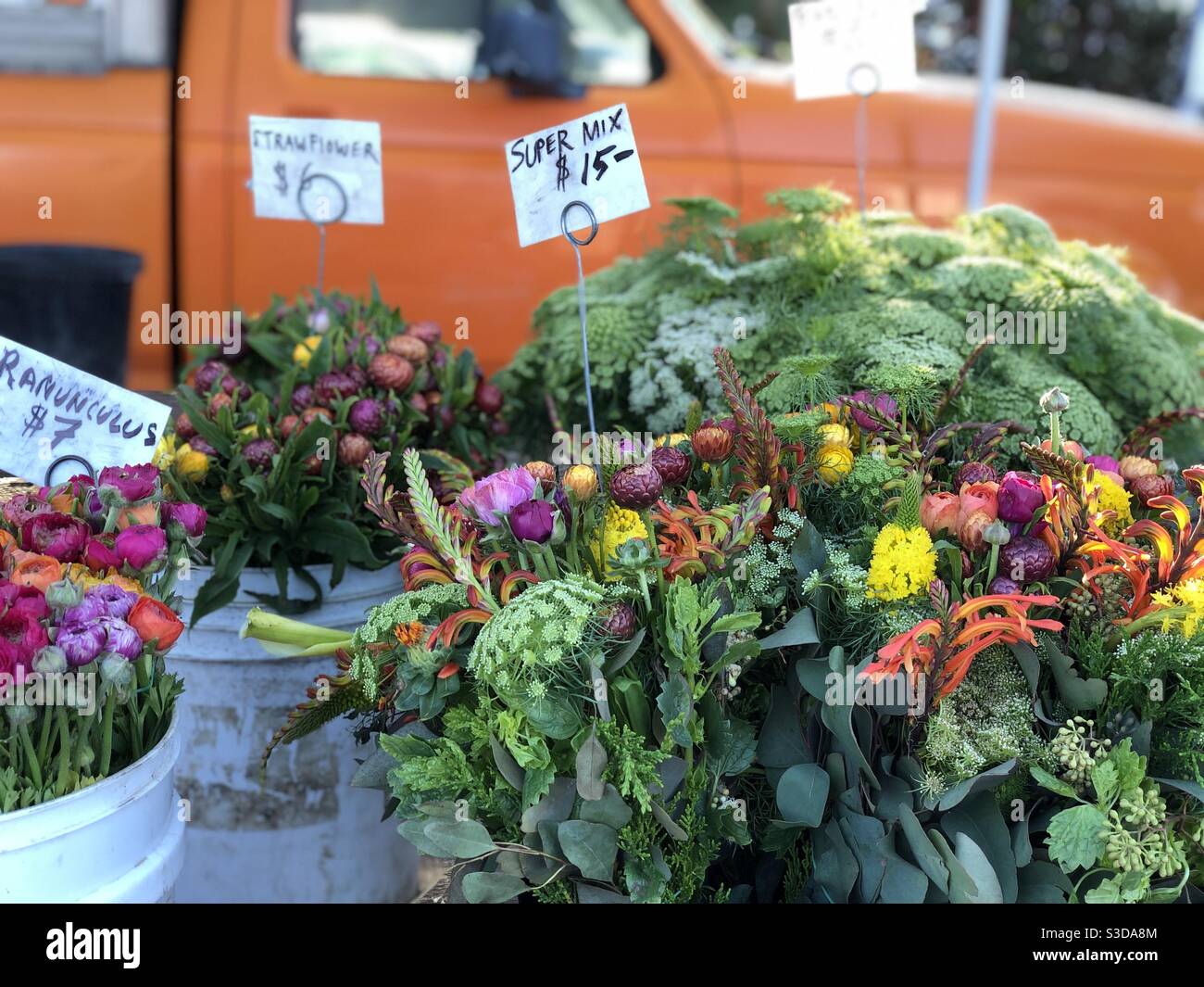 Flowers for sale at the farmers market Stock Photo Alamy