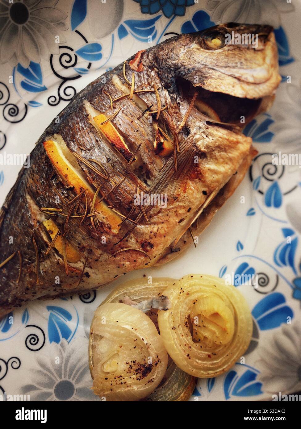 Sea bream close up shot - Smartphone Captured Stock Image