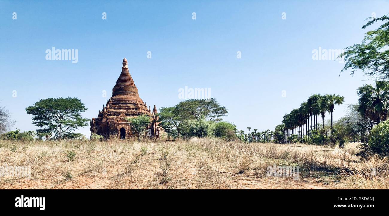 Panoramic view of a landscape and Buddhist stupa in Pagan, Burma - Smartphone Captured Stock Image