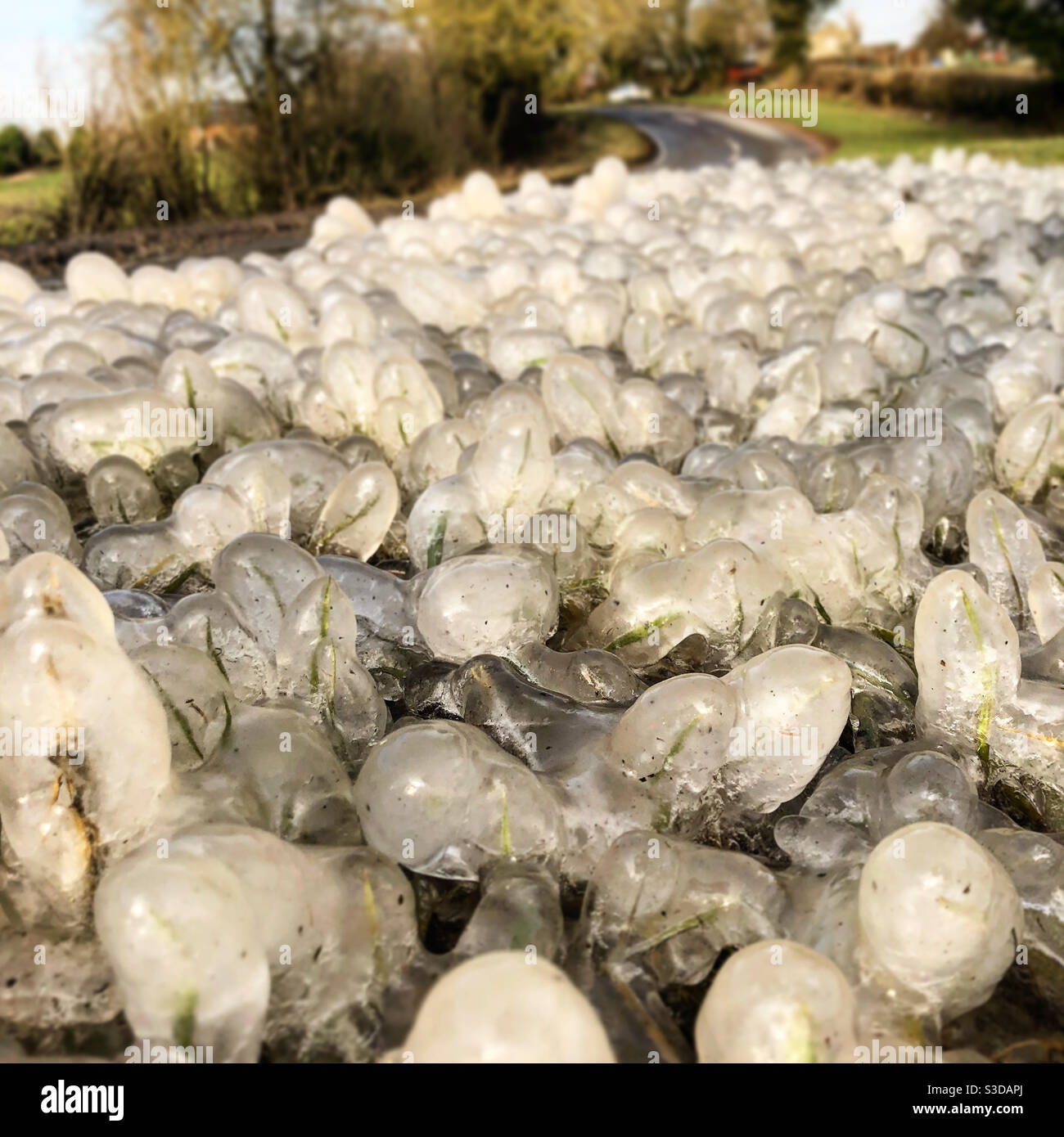 Water frozen onto grass verge caused by  passing vehicles Stock Photo