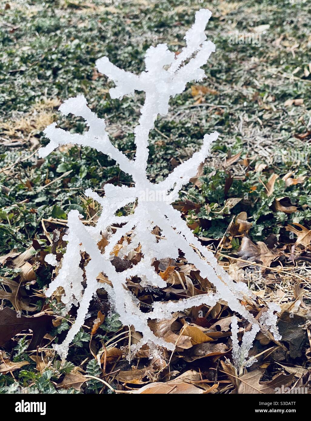 Stand your ground Stock Photo Alamy