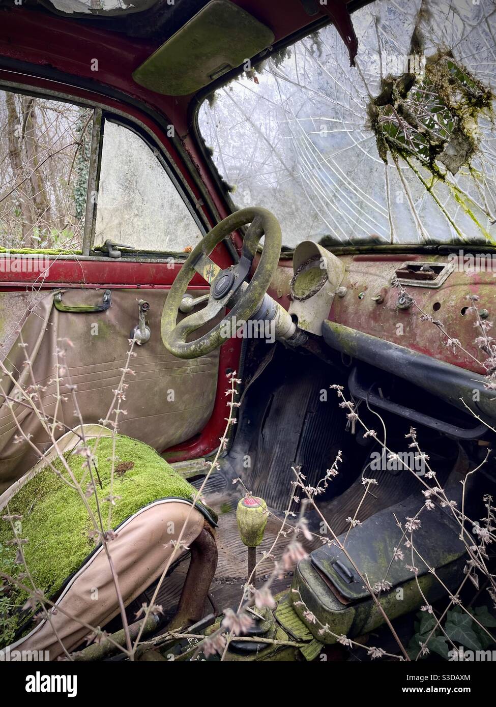 Interior of an old Fiat 500 car abandoned in a rural area in Tuscany Italy Stock Photo