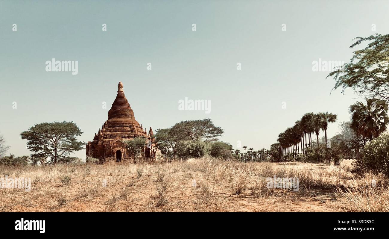 Burma, landscape with brick stupa and palm trees on a field in Pagan - Smartphone Captured Stock Image