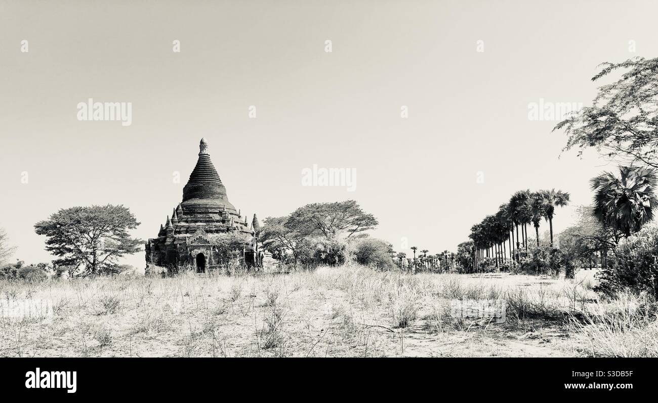 Monochrome picture of a Burmese landscape in Bagan - Smartphone Captured Stock Image