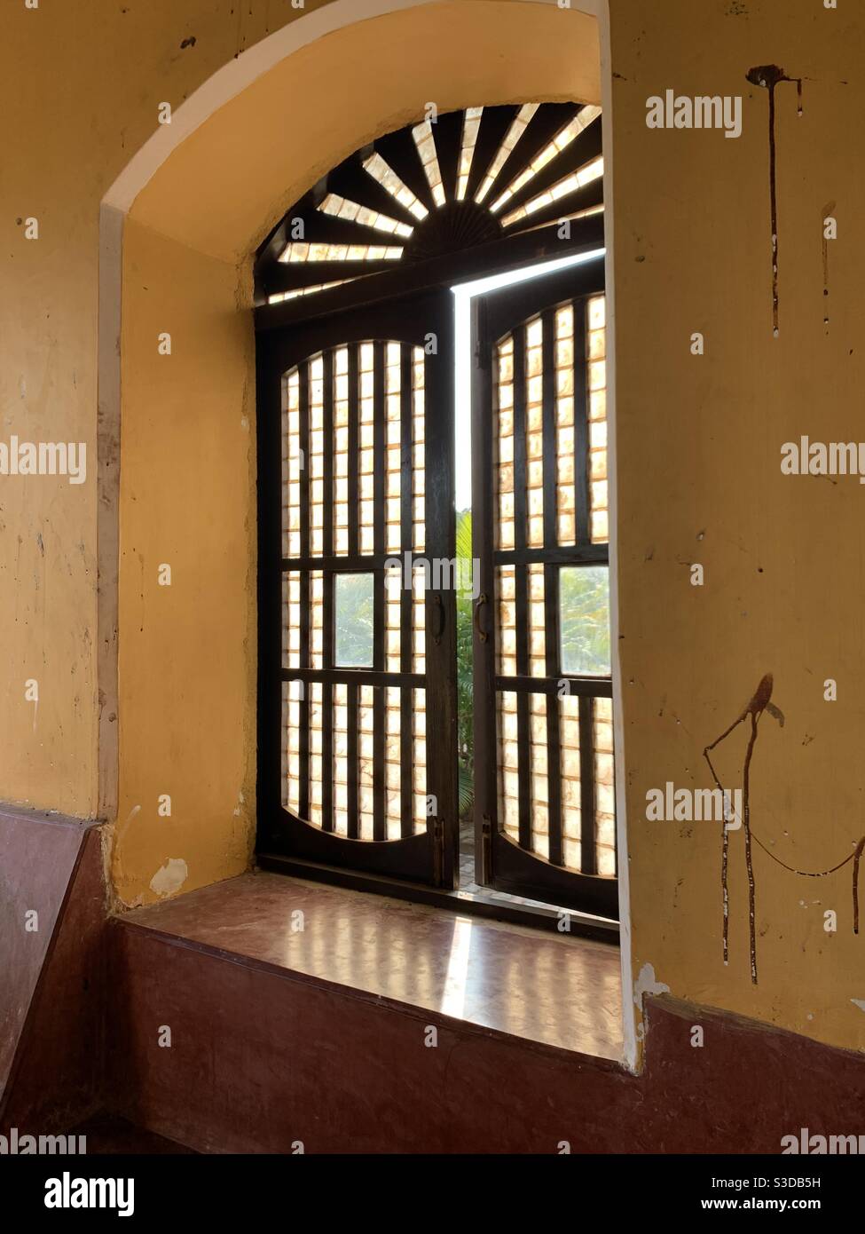 Window shell hi-res stock photography and images - Alamy