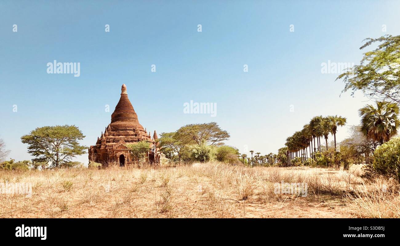 Panoramic landscape of the Burmese countryside, stupa and palm trees in Bagan Archaeological zone, Myanmar Stock Photo