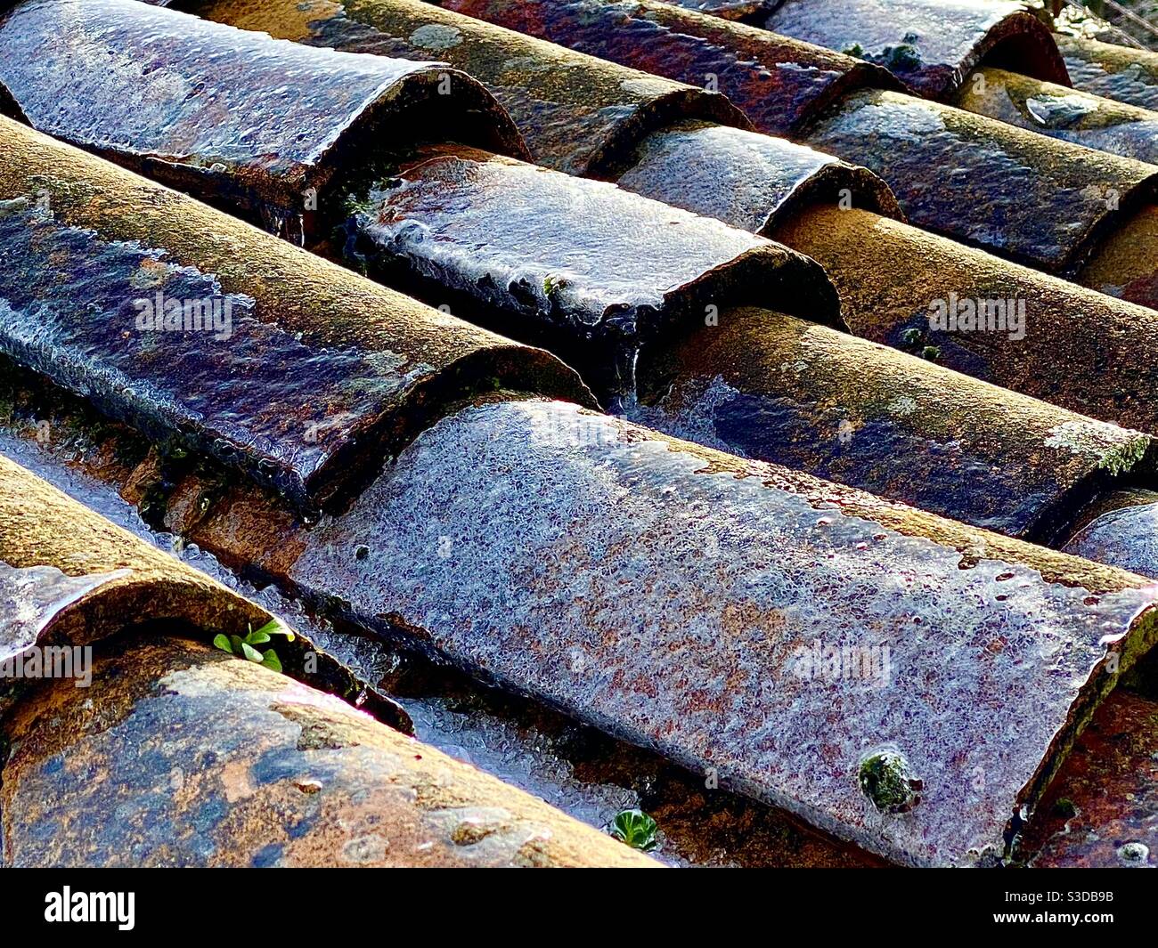 Frozen roof tiles - Smartphone Captured Stock Image