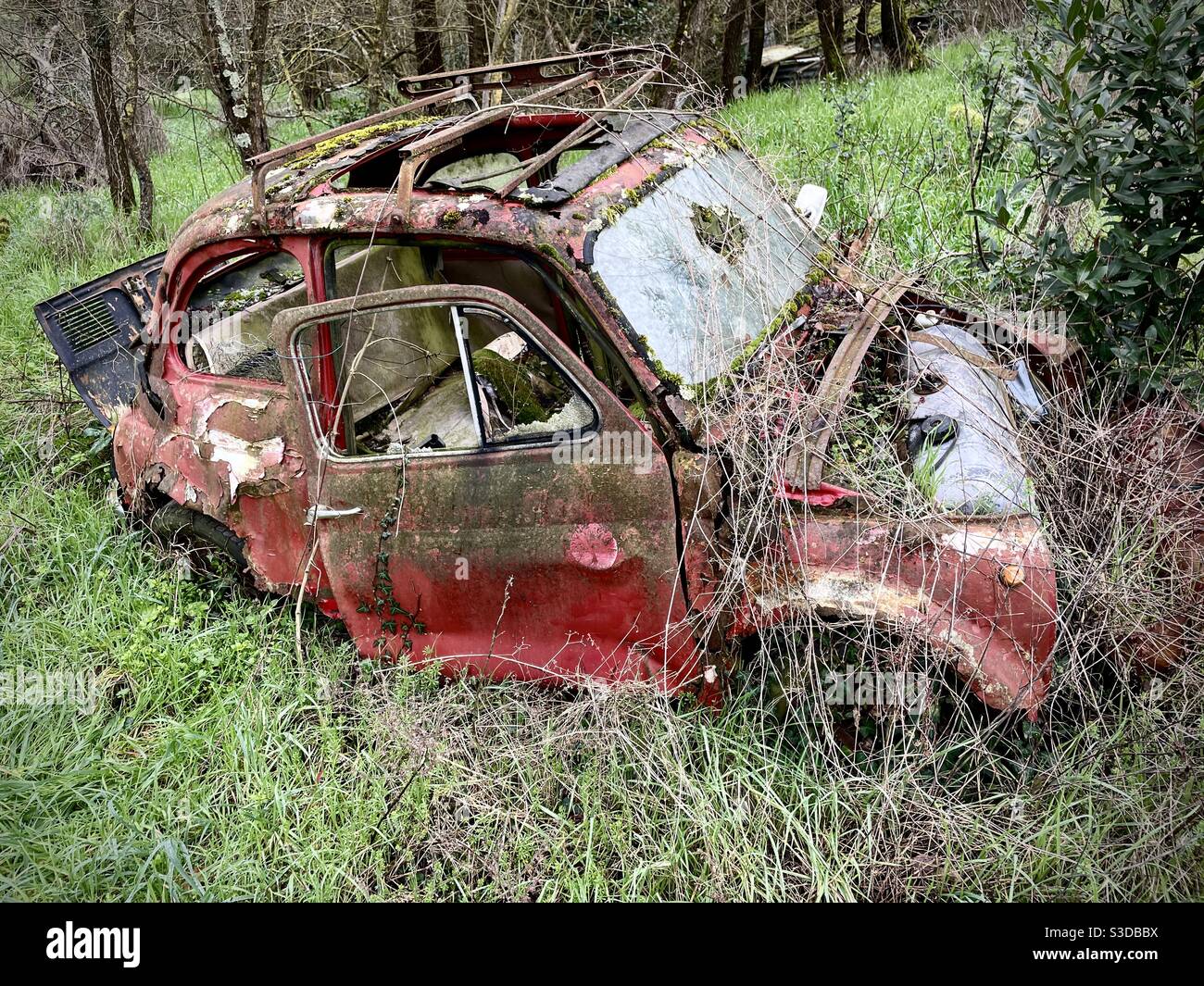 Olds Fiat 500 broken abandoned in a rural area in Tuscany Italy Stock Photo