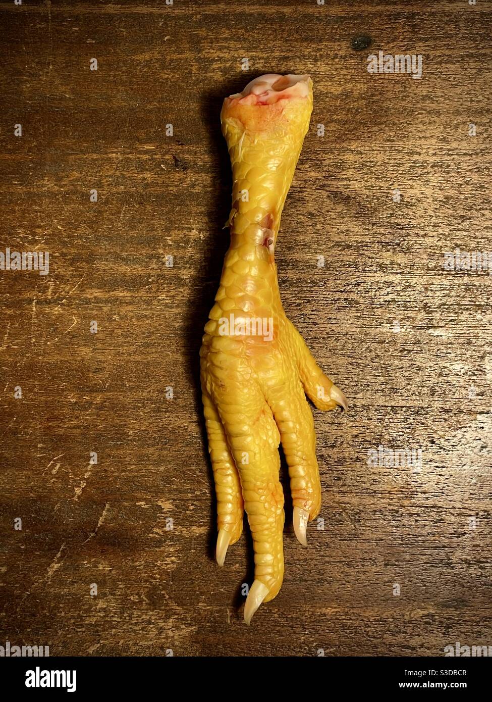 Chicken feet still life Stock Photo
