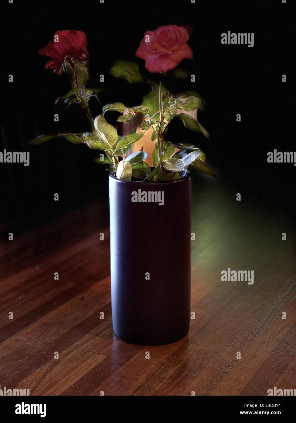 Two red roses in a black vase Stock Photo - Alamy