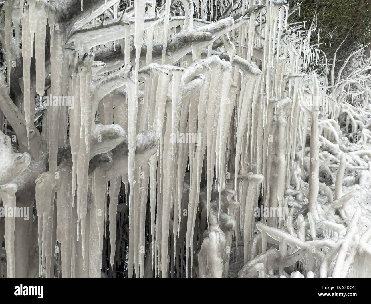 Icicles by the roadside, water splashed by cars in freezing temperatures - Smartphone Captured Stock Image