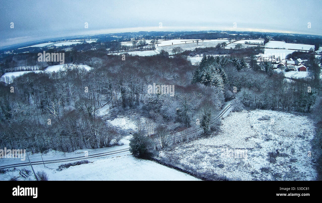 Snow covered trees and fields - Smartphone Captured Stock Image
