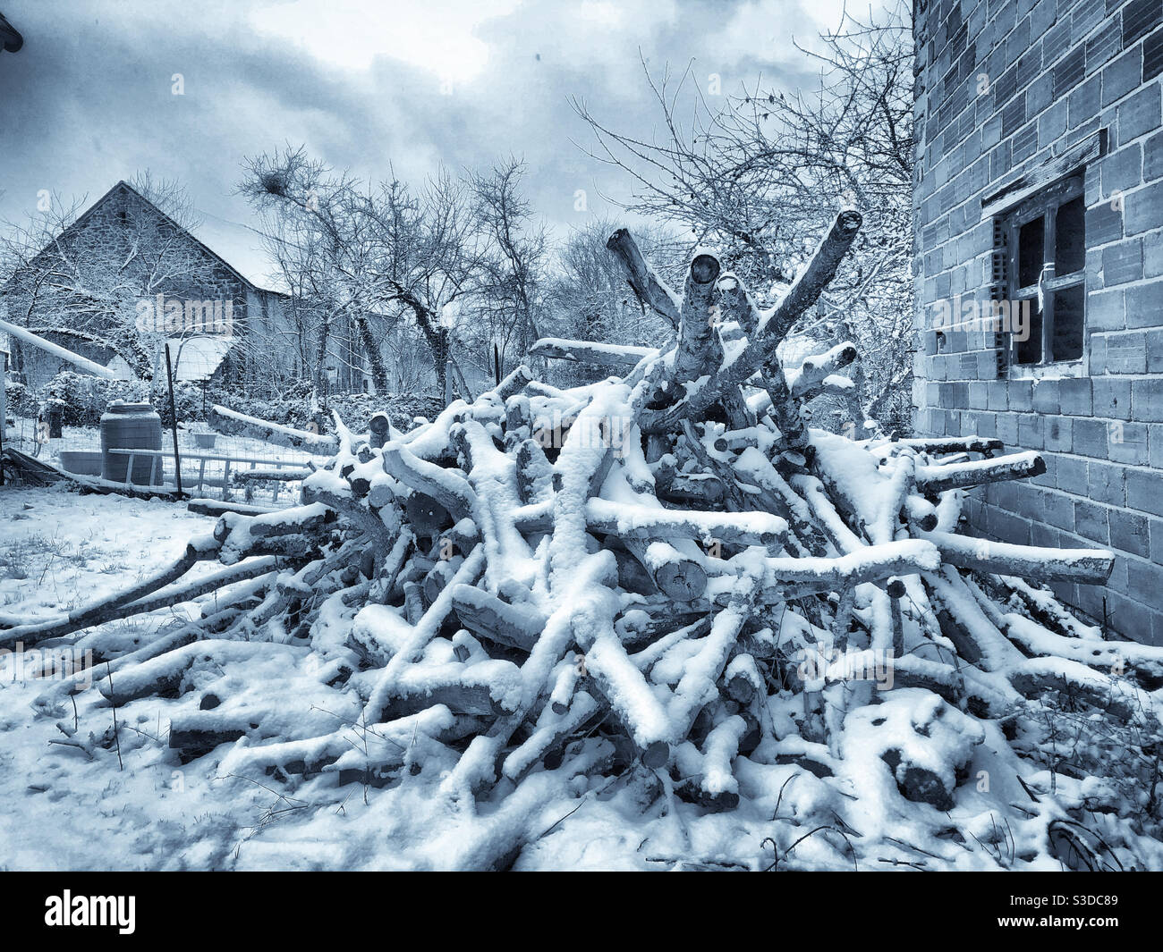 Log pile in the snow Stock Photo