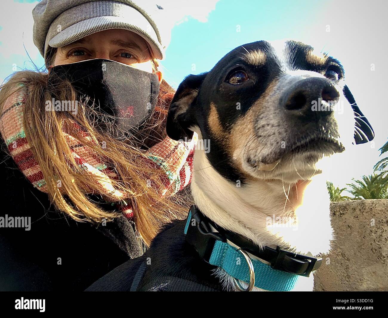 Dog facing camera with his masked owner Stock Photo