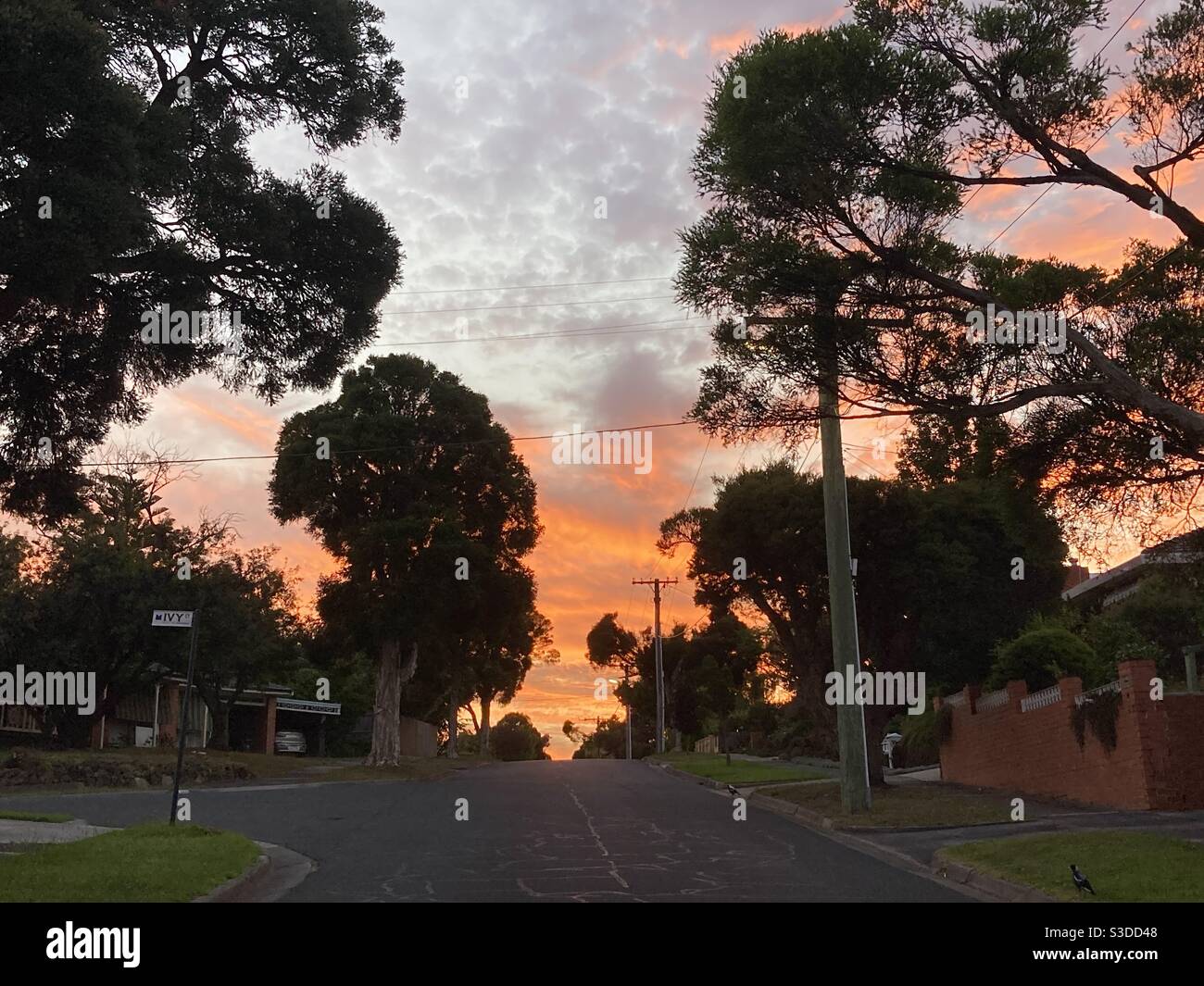 Early morning on deserted streets during Melbourne’s third COVID lockdown. - Smartphone Captured Stock Image