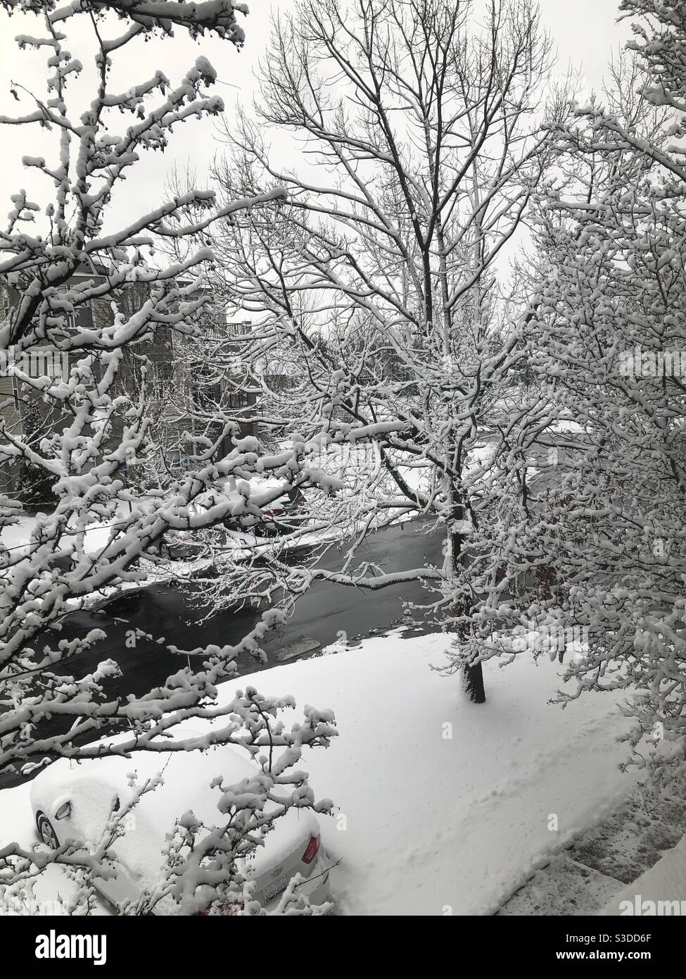 Winter weather - Smartphone Captured Stock Image