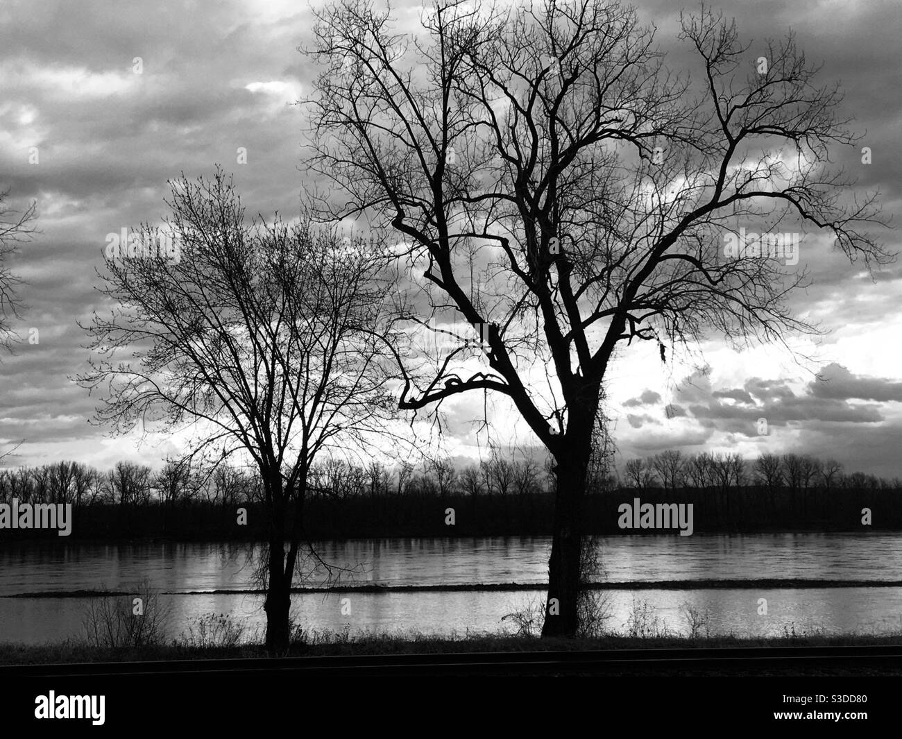Missouri River with trees Stock Photo Alamy