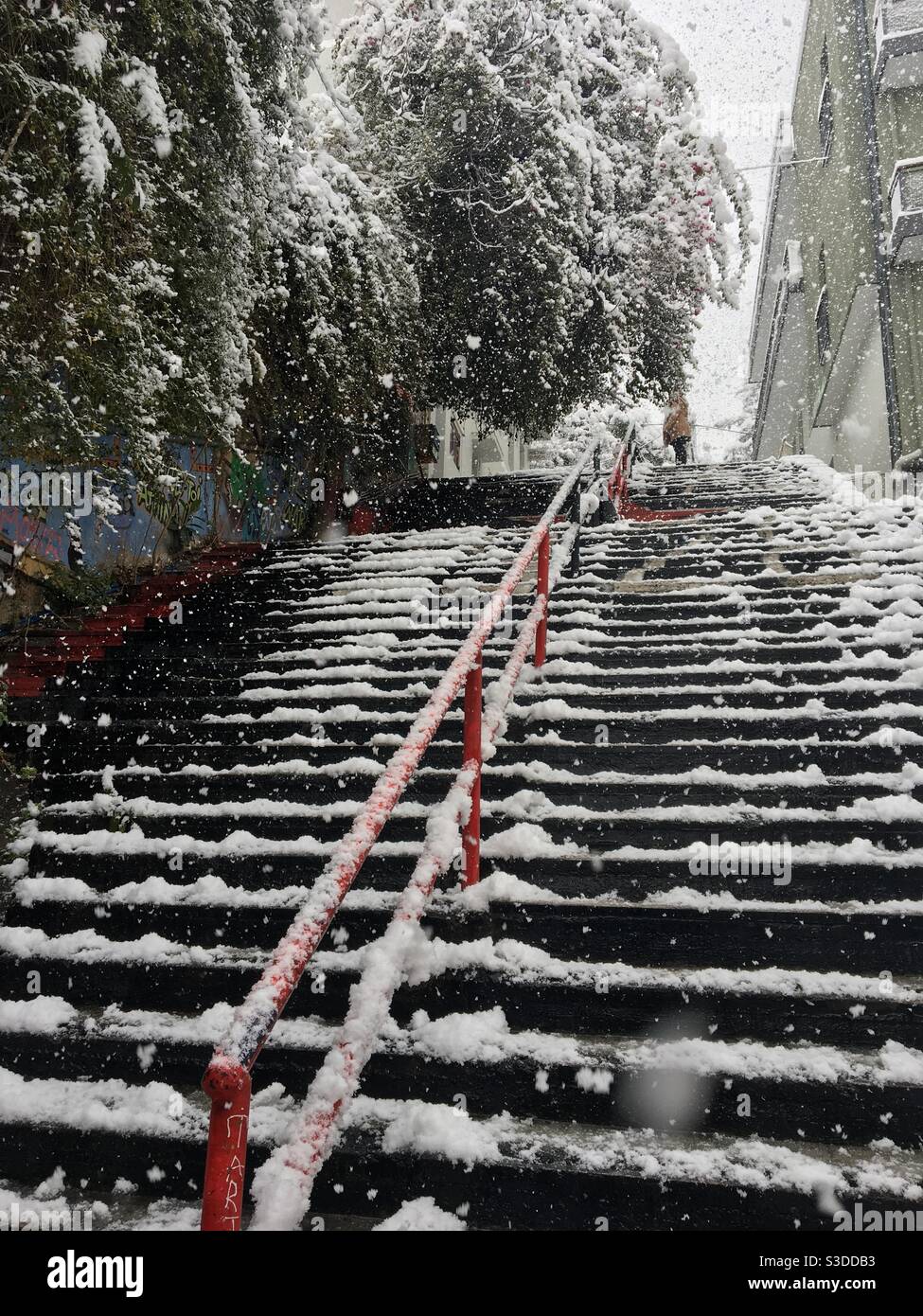 Snow-covered steps create a magical winter scene, surrounded by frosted trees and buildings, in Athens, Greece, Europe. - Smartphone Captured Stock Image