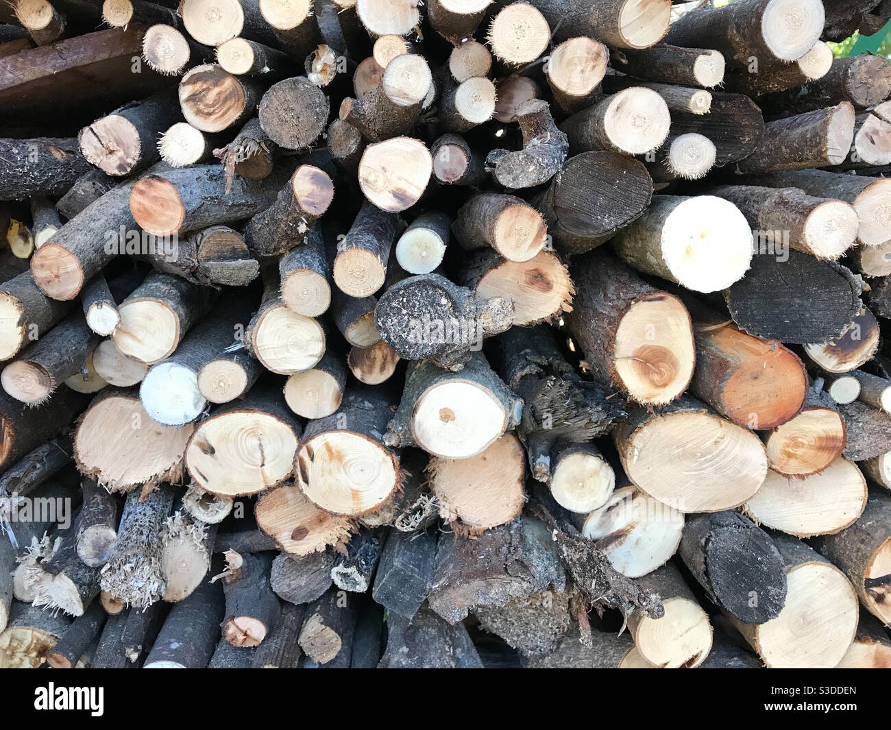 Neatly arranged logs in wood pile Stock Photo