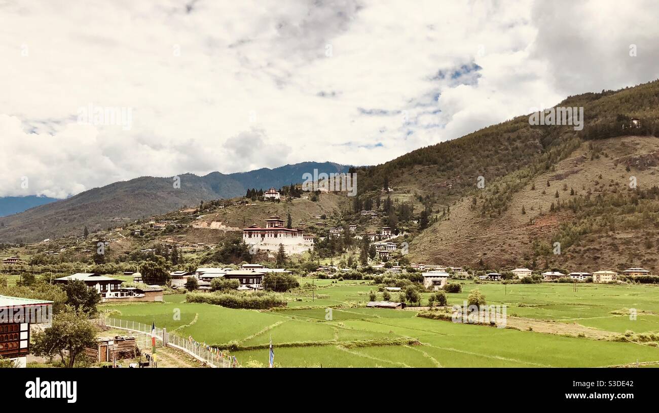 Bhutanese landscape, Paro Dzong amidst rice paddies - Smartphone Captured Stock Image