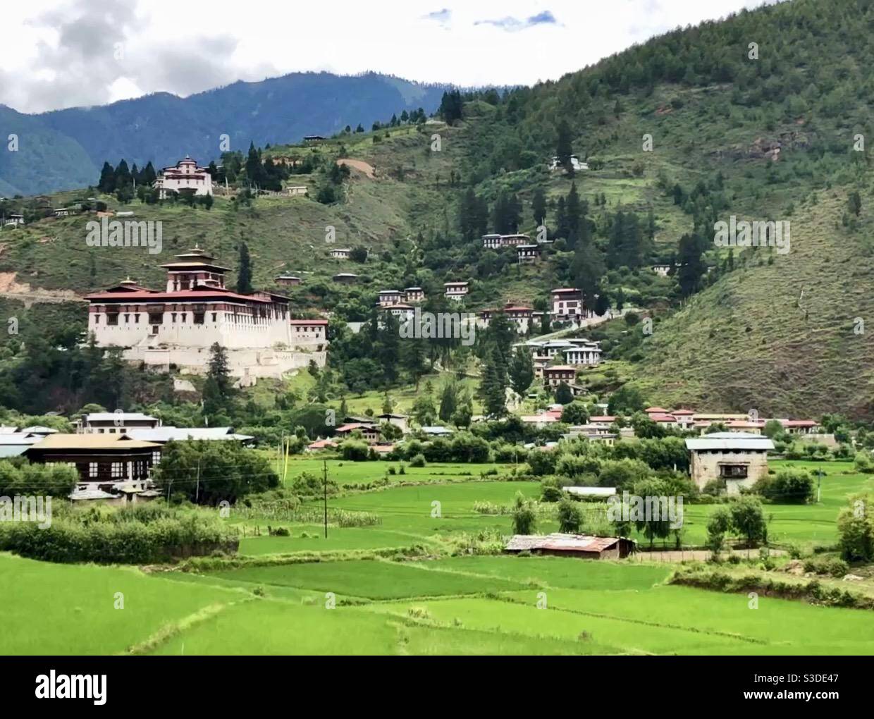 Rinpung Dzong from across a field of rice paddies, landscape of Paro, Bhutan - Smartphone Captured Stock Image