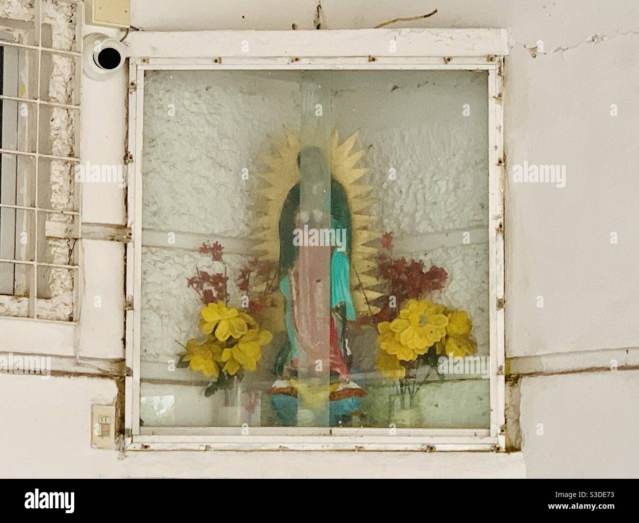 Virgin Marie - Smartphone Captured Stock Image