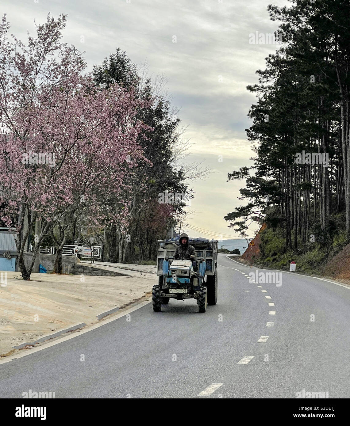 Spring day to work - Smartphone Captured Stock Image