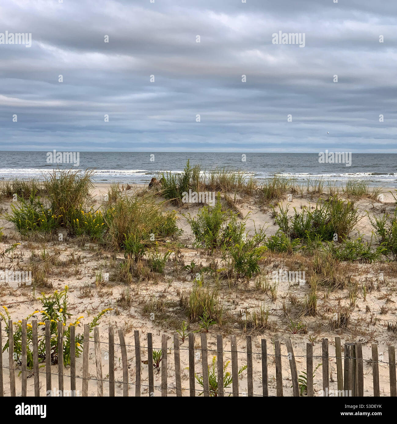 The beach beside the Ocean City Boardwalk, Ocean City, New Jersey, United States. - Smartphone Captured Stock Image