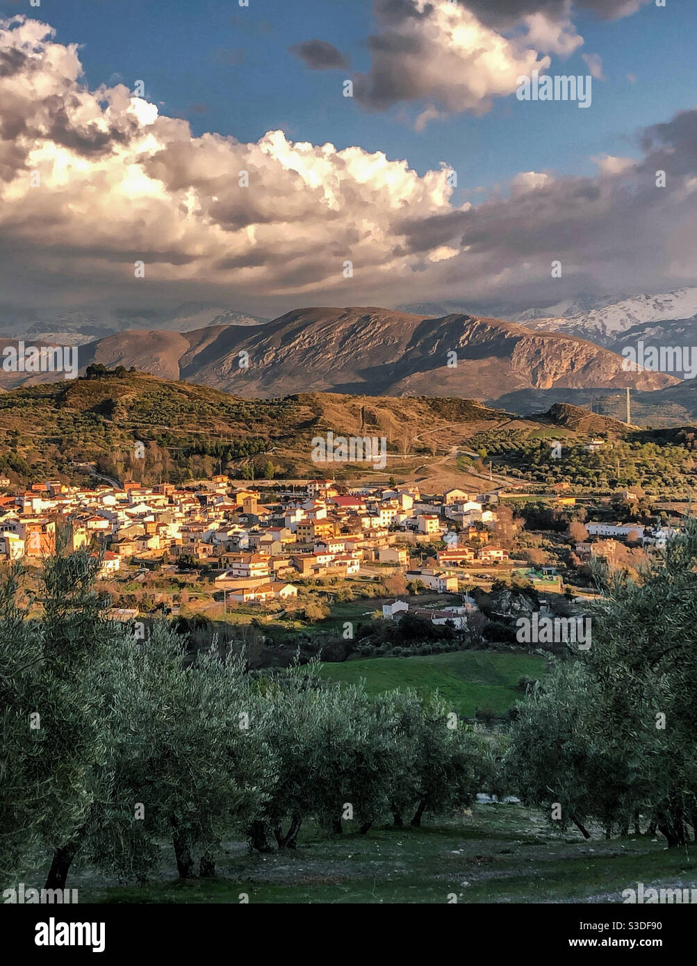 Olive grove leading to a view of Beas de Granada and the Sierra Nevadas, Spain Stock Photo