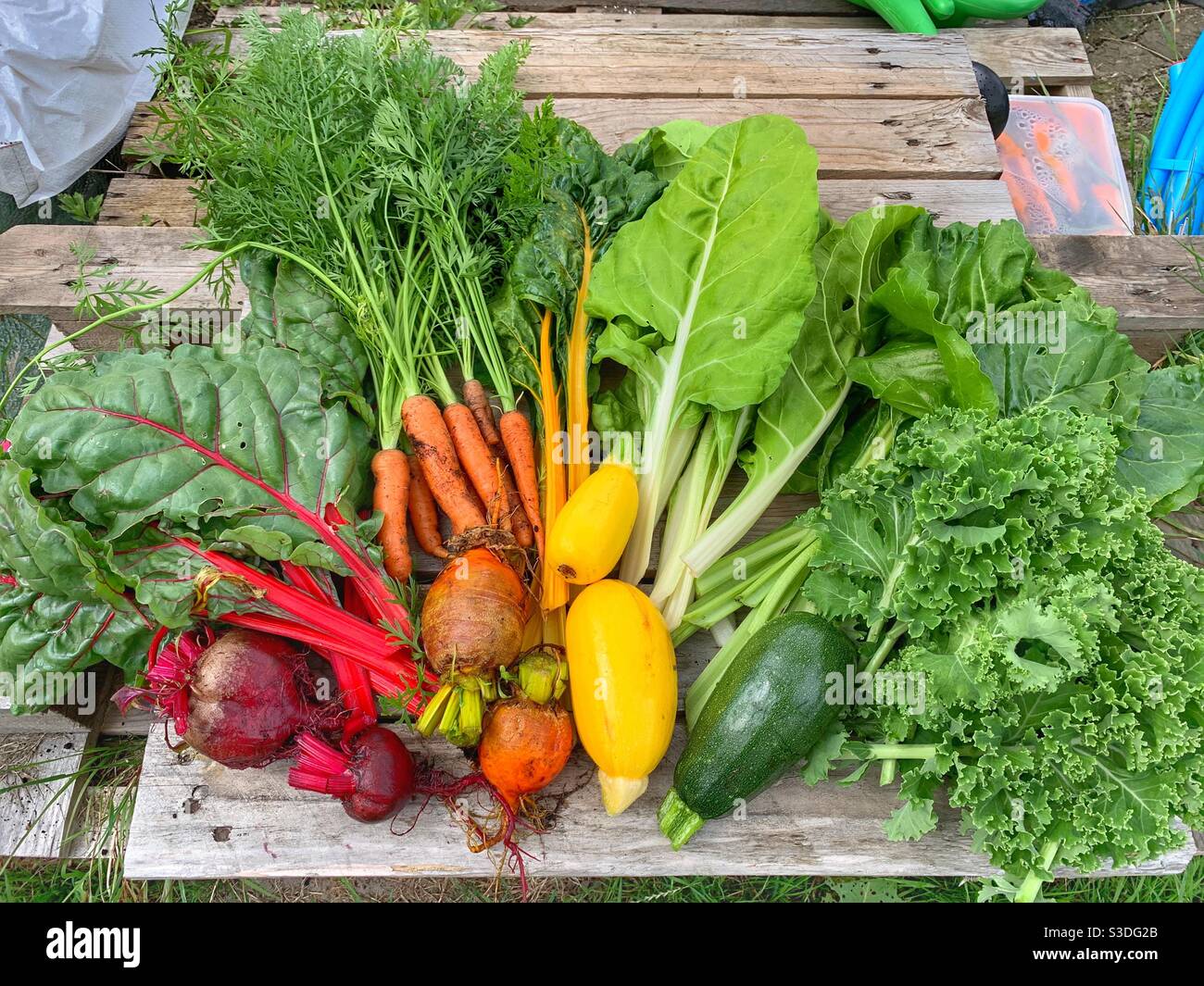 Summer vegetables Stock Photo