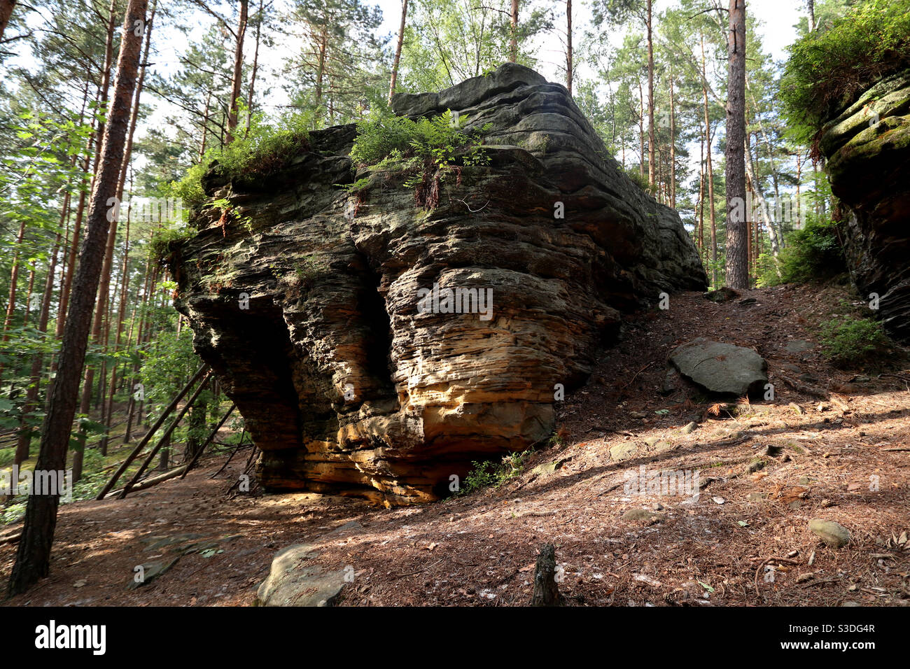 Greenery rocks hi-res stock photography and images - Alamy