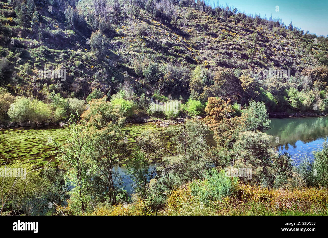 View of Zêzere River near Constância, Portugal - Smartphone Captured Stock Image