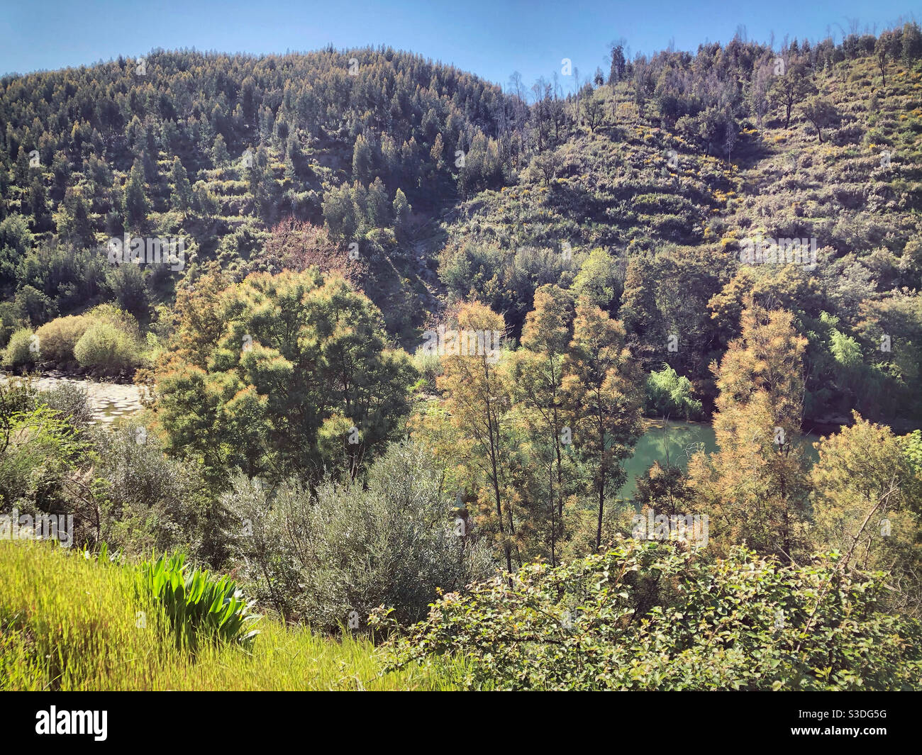 Along the Zêzere river, near Constância, Portugal - Smartphone Captured Stock Image