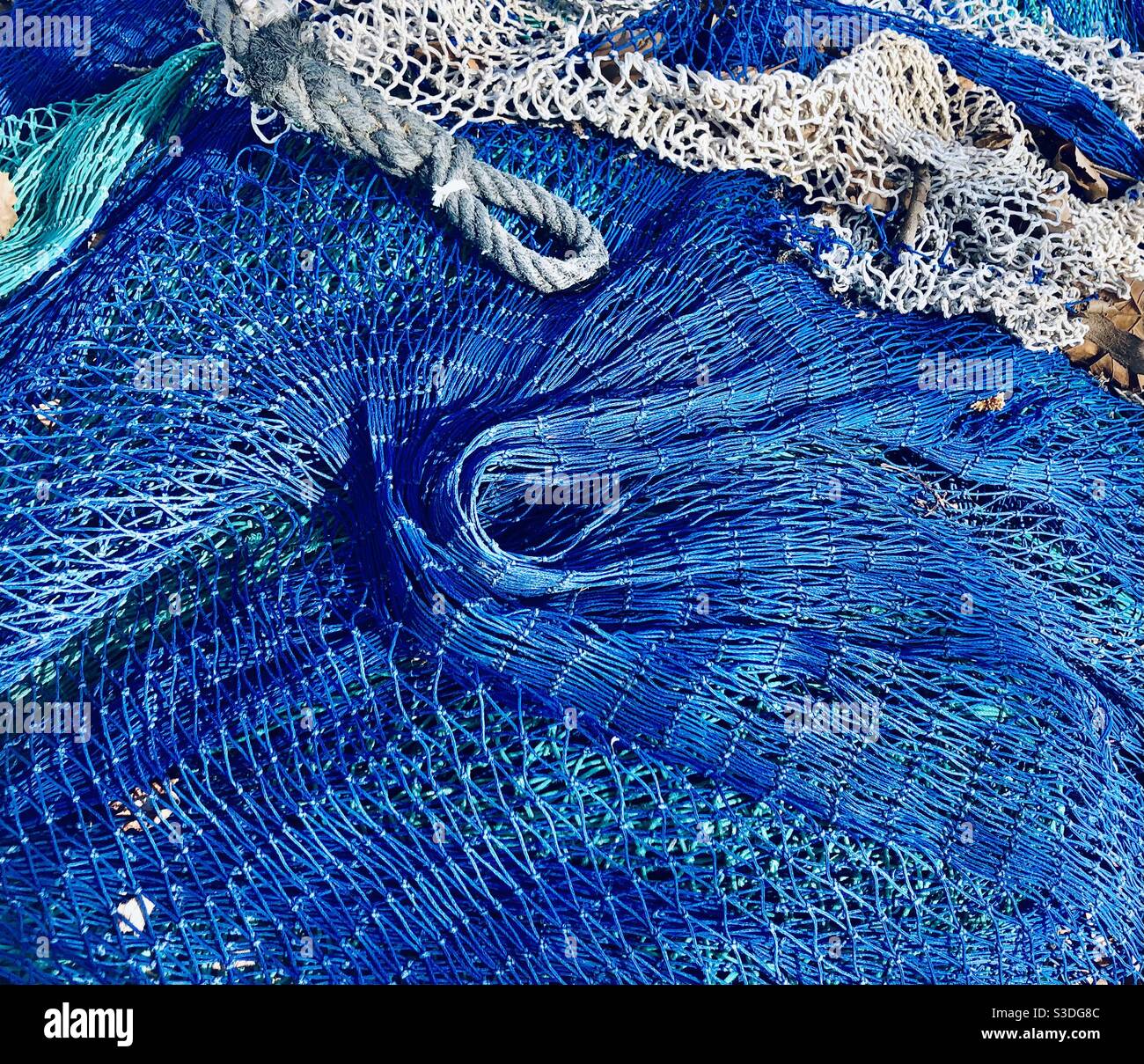 Circular Blue fishing net drying in the sun - Smartphone Captured Stock Image
