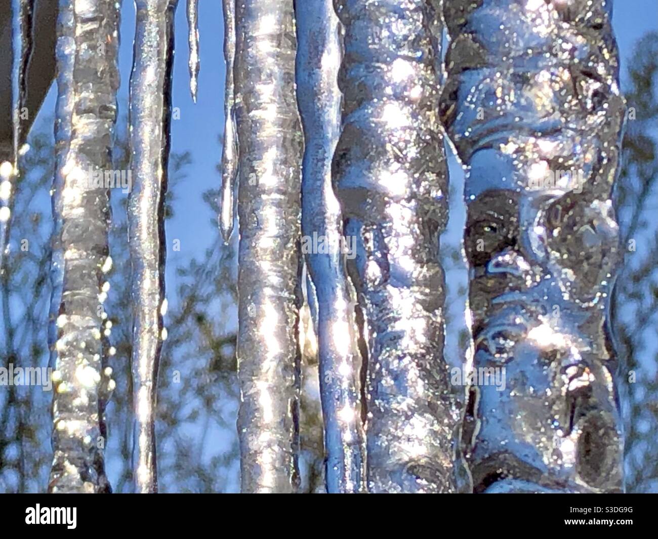 Icicles in the morning sun Stock Photo